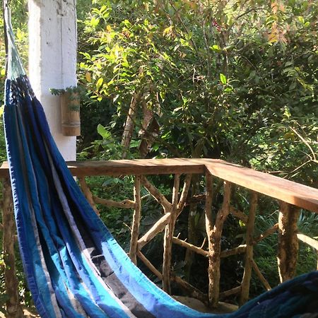 Finca Flora Del Rio, Habitacion Las Orquideas Pijao ภายนอก รูปภาพ