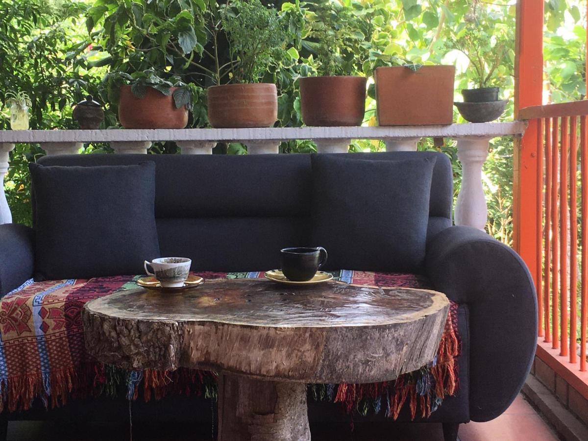 Finca Flora Del Rio, Habitacion Las Orquideas Pijao ภายนอก รูปภาพ